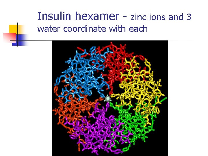 Insulin hexamer - zinc ions and 3 water coordinate with each 