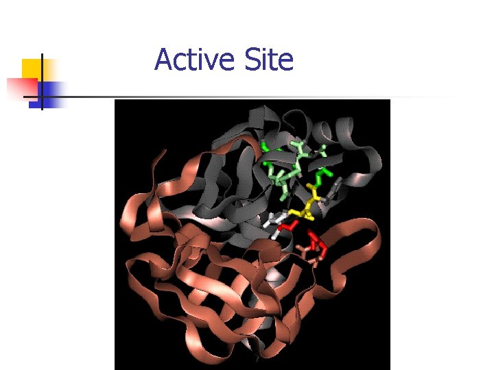 Active Site 