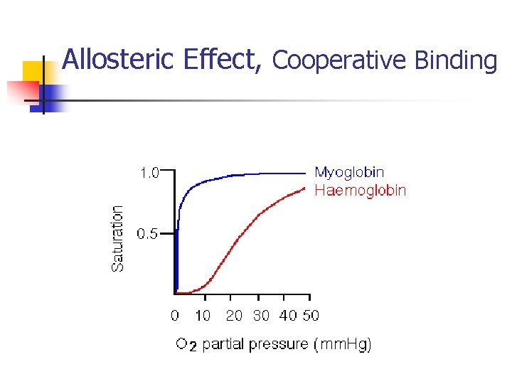 Allosteric Effect, Cooperative Binding 