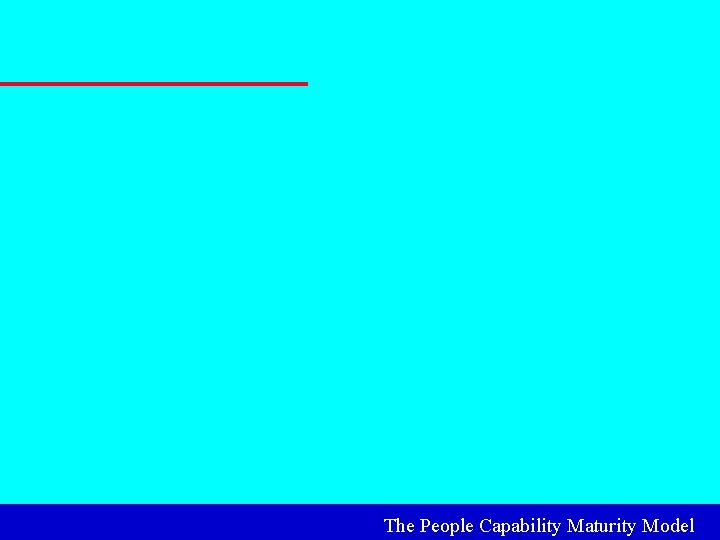 The People Capability Maturity Model 