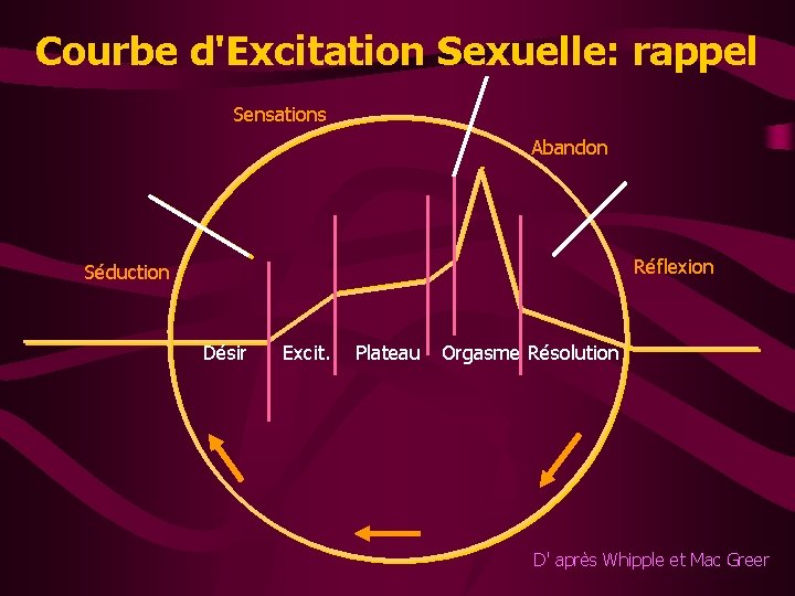 Courbe d'Excitation Sexuelle: rappel Sensations Abandon Réflexion Séduction Désir Excit. Plateau Orgasme Résolution D'