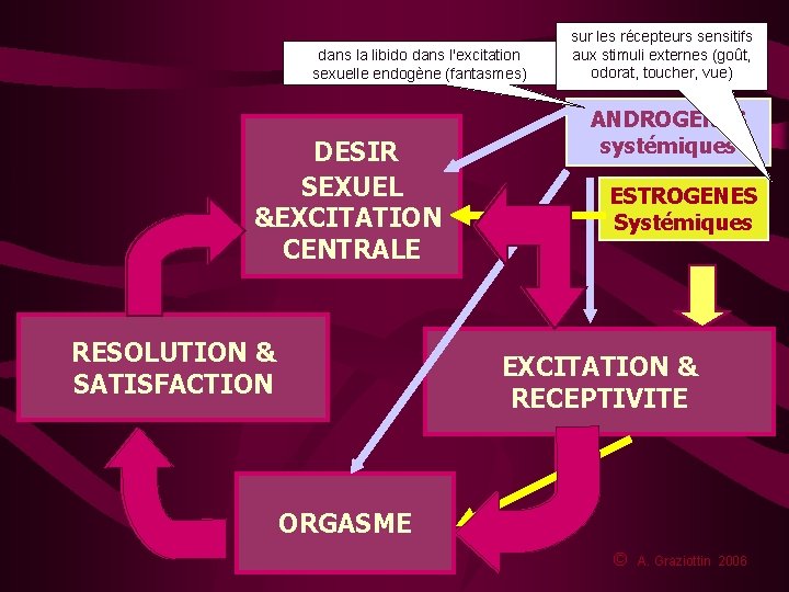 dans la libido dans l'excitation sexuelle endogène (fantasmes) DESIR SEXUEL &EXCITATION CENTRALE RESOLUTION &