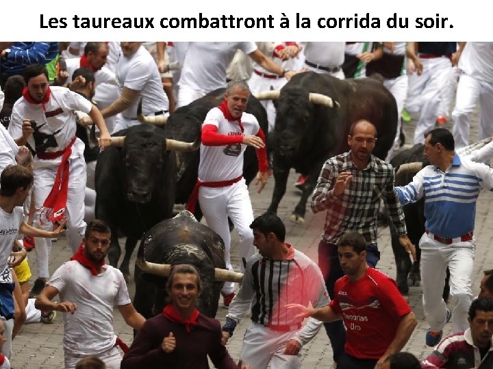 Les taureaux combattront à la corrida du soir. 