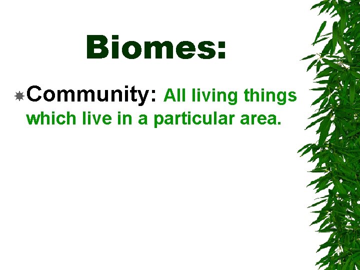 Biomes How do biomes affect life forms Biomes