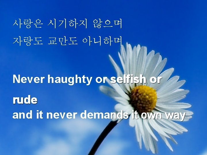 사랑은 시기하지 않으며 자랑도 교만도 아니하며 Never haughty or selfish or rude and it