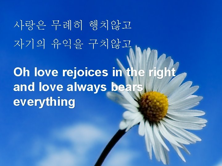 사랑은 무례히 행치않고 자기의 유익을 구치않고 Oh love rejoices in the right and love