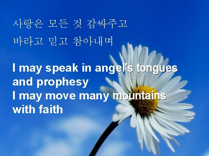 사랑은 모든 것 감싸주고 바라고 믿고 참아내며 I may speak in angel’s tongues and