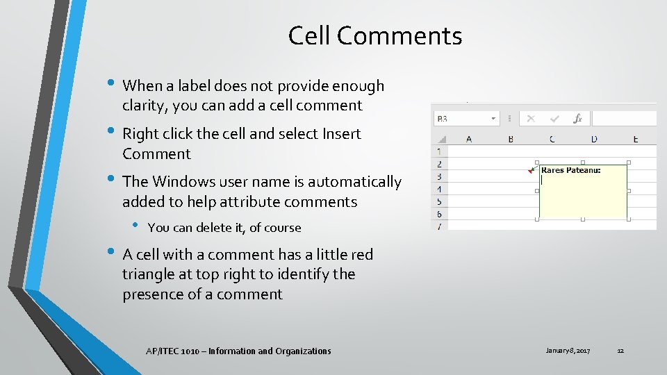 Cell Comments • When a label does not provide enough clarity, you can add