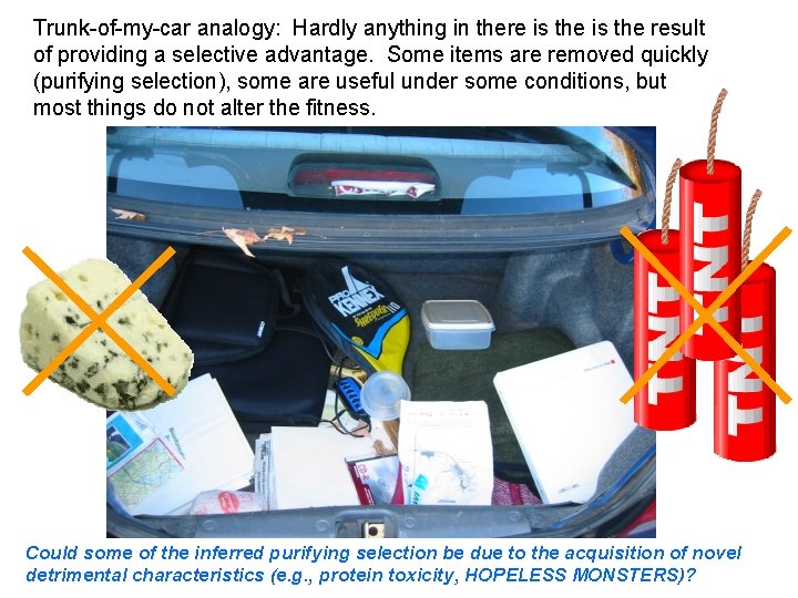 Trunk-of-my-car analogy: Hardly anything in there is the result of providing a selective advantage. Trunk-of-my-car analogy: Hardly anything in there is the result of providing a selective advantage.