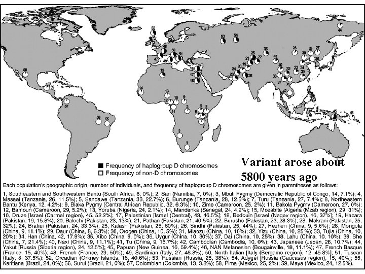 Variant arose about 5800 years ago Variant arose about 5800 years ago