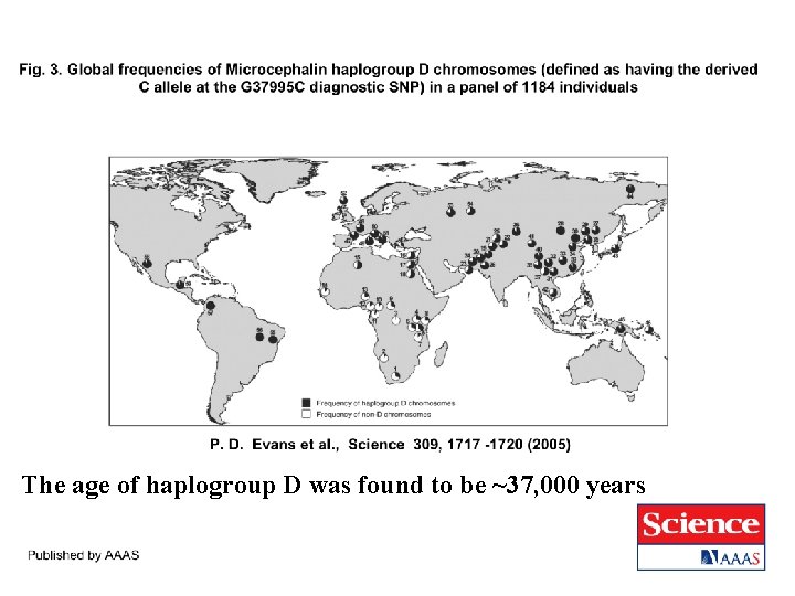 The age of haplogroup D was found to be ~37, 000 years The age of haplogroup D was found to be ~37, 000 years
