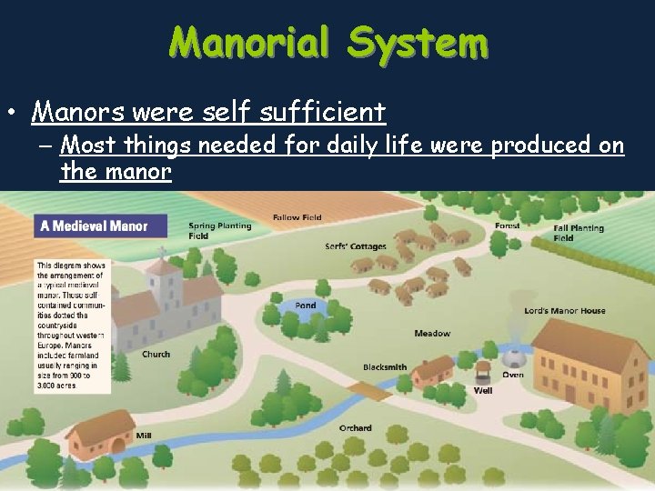 Manorial System • Manors were self sufficient – Most things needed for daily life
