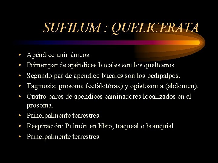 SUFILUM : QUELICERATA • • • Apéndice unirrámeos. Primer par de apéndices bucales son