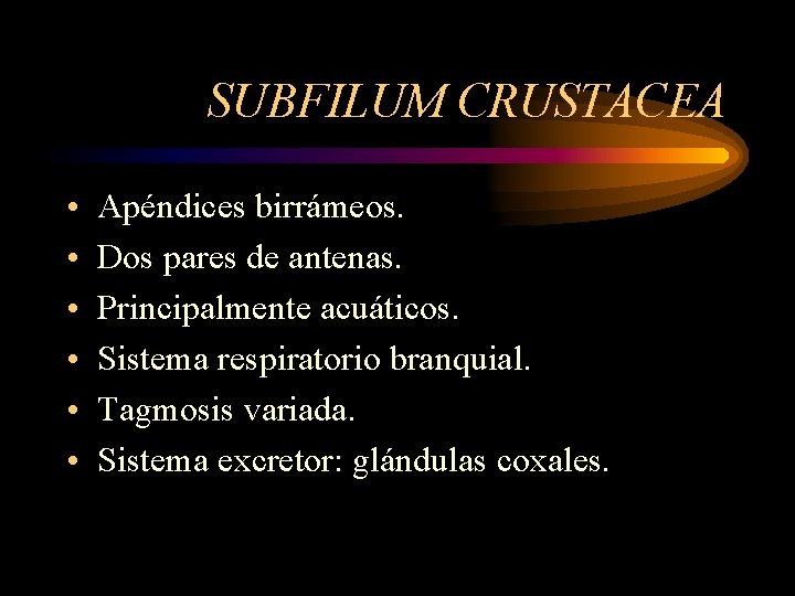 SUBFILUM CRUSTACEA • • • Apéndices birrámeos. Dos pares de antenas. Principalmente acuáticos. Sistema