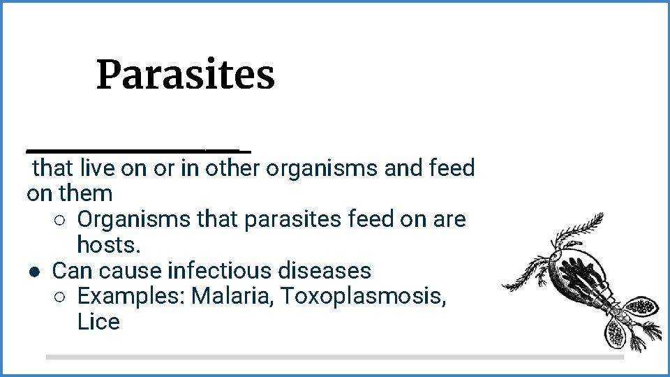 Parasites __________ that live on or in other organisms and feed on them ○