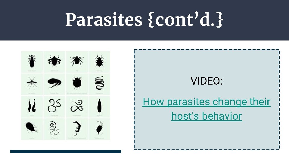 Parasites {cont’d. } VIDEO: How parasites change their host's behavior 