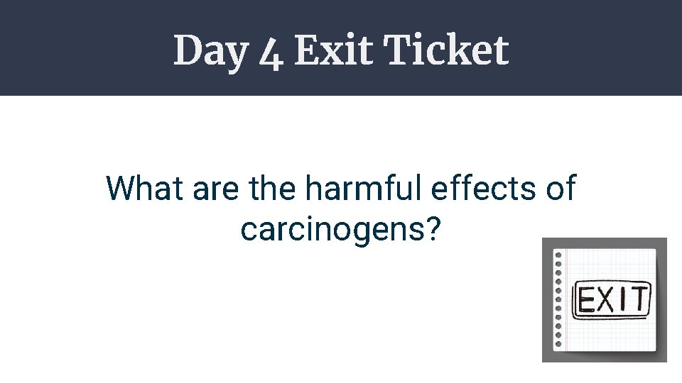 Day 4 Exit Ticket What are the harmful effects of carcinogens? 