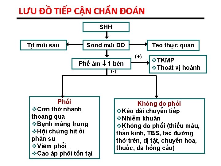 LƯU ĐỒ TIẾP CẬN CHẨN ĐOÁN SHH Tịt mũi sau Sond mũi DD Teo