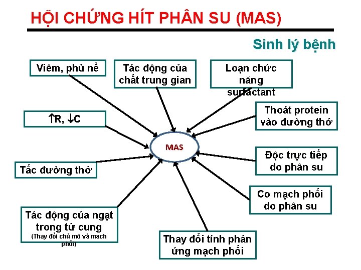 HỘI CHỨNG HÍT PH N SU (MAS) Sinh lý bệnh Viêm, phù nề Tác