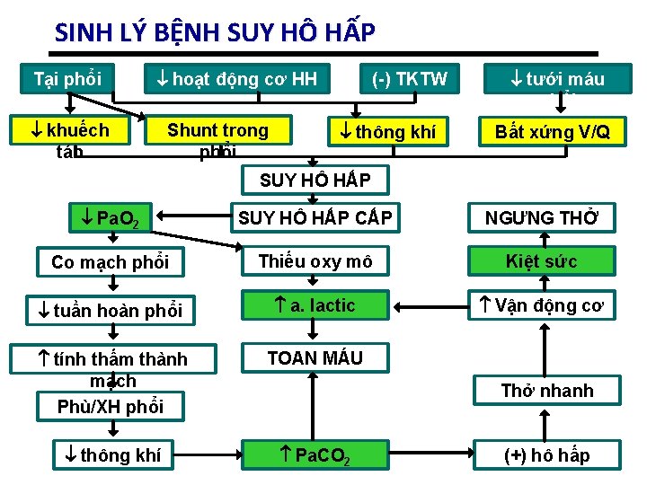 SINH LÝ BỆNH SUY HÔ HẤP Tại phổi hoạt động cơ HH khuếch tán