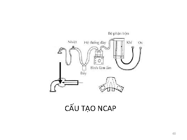 CẤU TẠO NCAP 60 