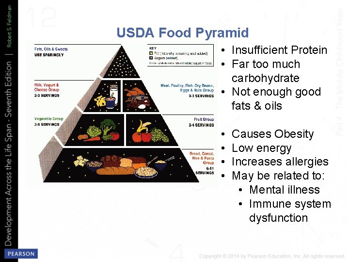 USDA Food Pyramid • Insufficient Protein • Far too much carbohydrate • Not enough