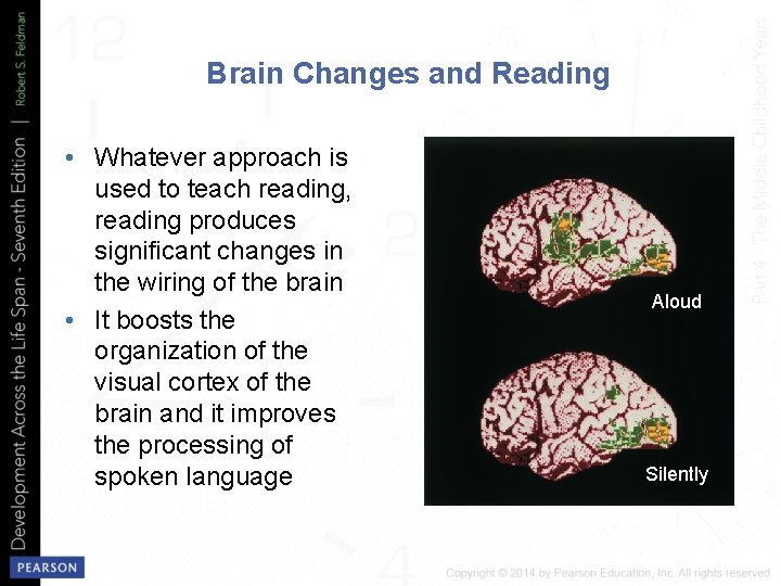Brain Changes and Reading • Whatever approach is used to teach reading, reading produces