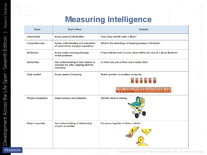 Measuring Intelligence 