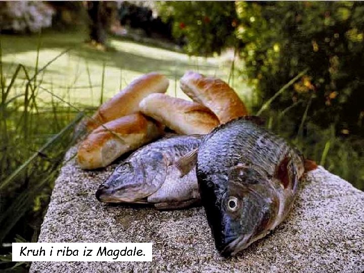 Kruh i riba iz Magdale. 