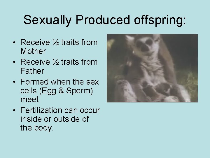 Sexually Produced offspring: • Receive ½ traits from Mother • Receive ½ traits from