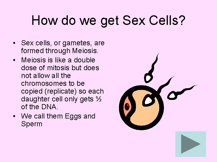 How do we get Sex Cells? • Sex cells, or gametes, are formed through