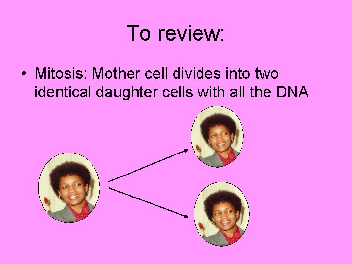 To review: • Mitosis: Mother cell divides into two identical daughter cells with all