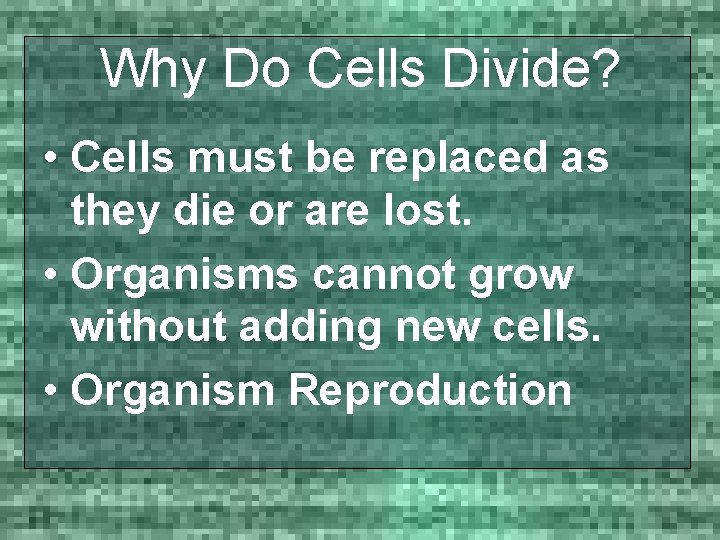 Why Do Cells Divide? • Cells must be replaced as they die or are