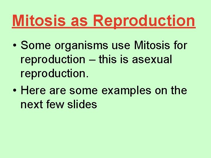 Mitosis as Reproduction • Some organisms use Mitosis for reproduction – this is asexual