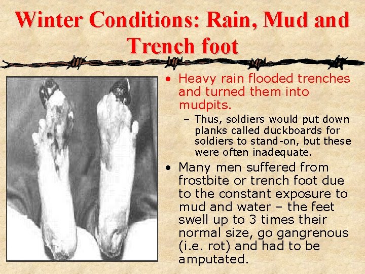 Winter Conditions: Rain, Mud and Trench foot • Heavy rain flooded trenches and turned
