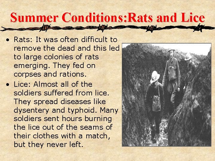 Summer Conditions: Rats and Lice • Rats: It was often difficult to remove the