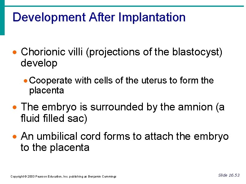 Development After Implantation Chorionic villi (projections of the blastocyst) develop Cooperate with cells of