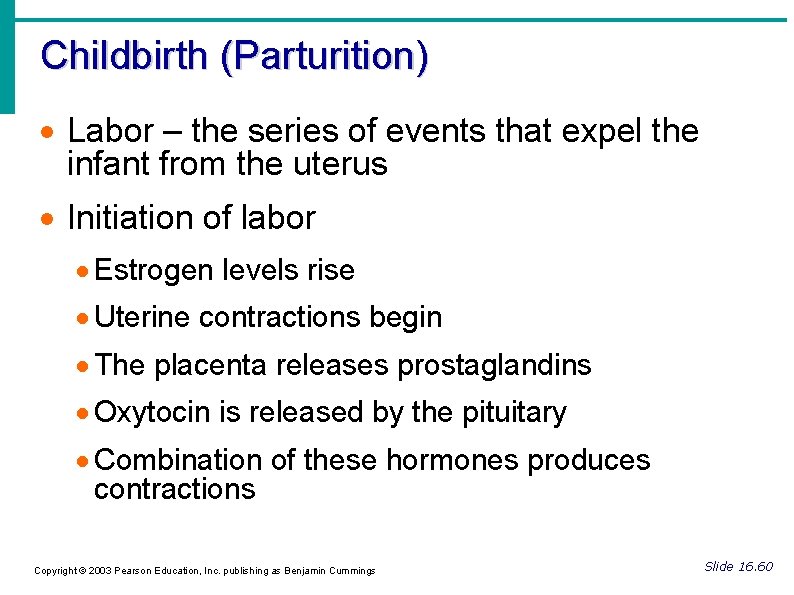 Childbirth (Parturition) Labor – the series of events that expel the infant from the
