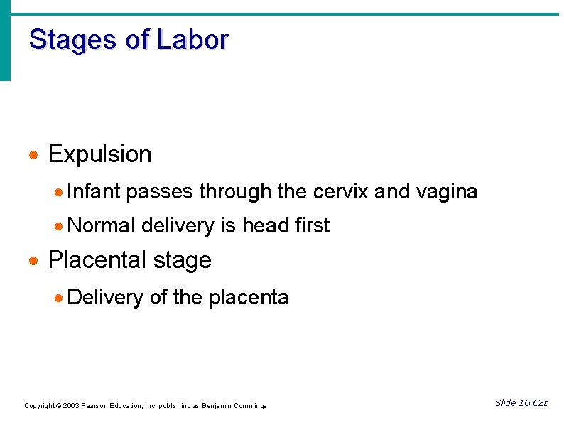 Stages of Labor Expulsion Infant passes through the cervix and vagina Normal delivery is