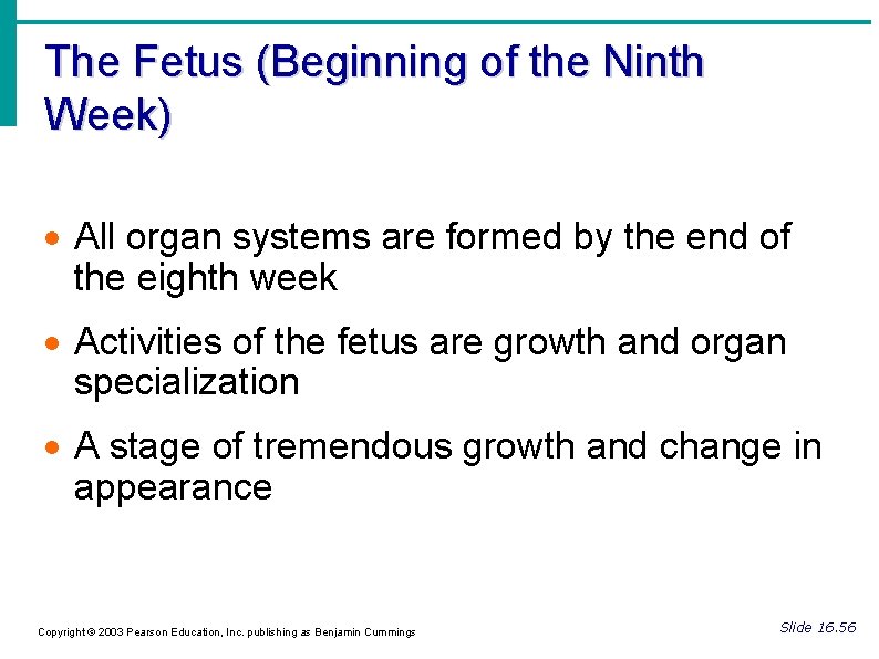The Fetus (Beginning of the Ninth Week) All organ systems are formed by the
