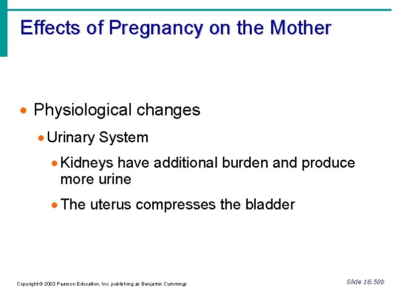 Effects of Pregnancy on the Mother Physiological changes Urinary System Kidneys have additional burden