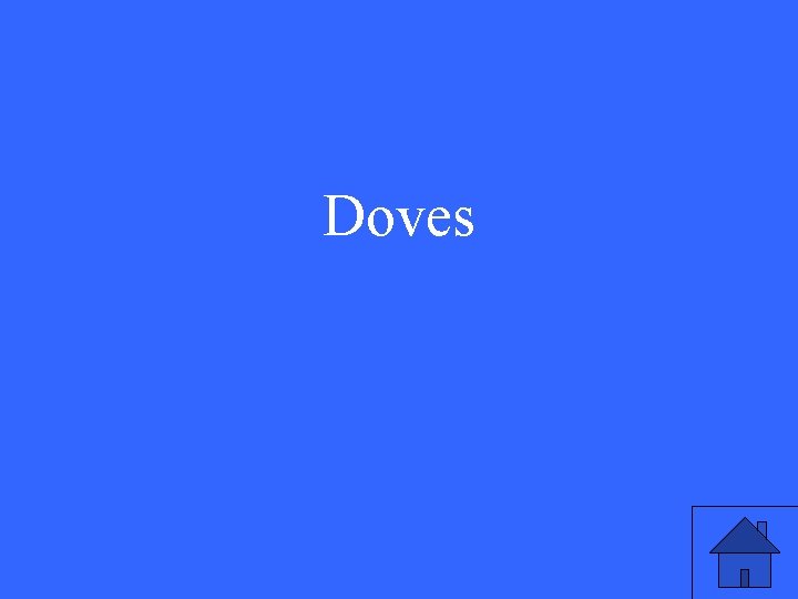 Doves 