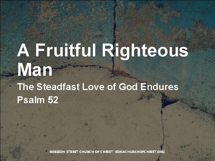 A Fruitful Righteous Man The Steadfast Love of God Endures Psalm 52 ROBISON STREET