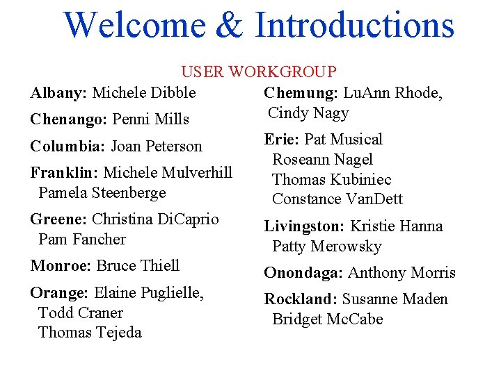 Welcome & Introductions USER WORKGROUP Albany: Michele Dibble Chemung: Lu. Ann Rhode, Cindy Nagy