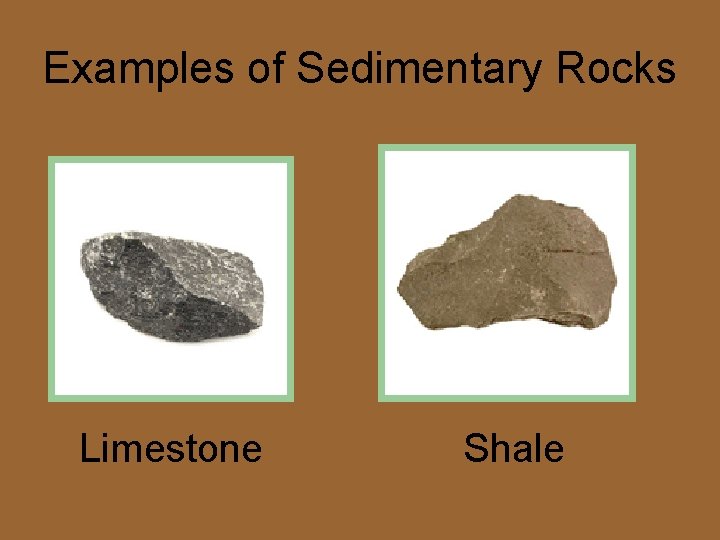 Examples of Sedimentary Rocks Limestone Shale 