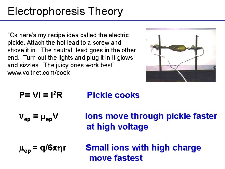 Electrophoresis Theory “Ok here’s my recipe idea called the electric pickle. Attach the hot