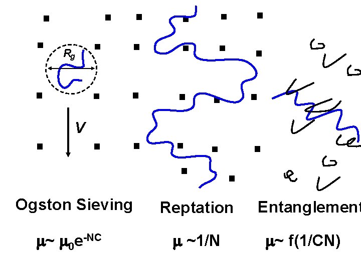Rg V Ogston Sieving ~ 0 e-NC Reptation ~1/N Entanglement ~ f(1/CN) 