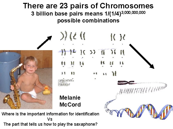 There are 23 pairs of Chromosomes 3 billion base pairs means 1/(1/4)3, 000, 000