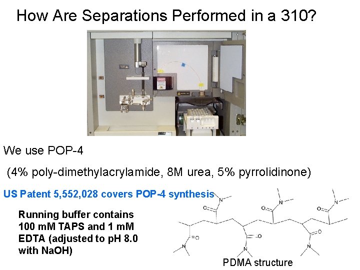 How Are Separations Performed in a 310? We use POP-4 (4% poly-dimethylacrylamide, 8 M