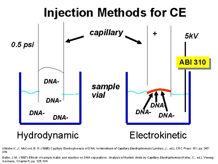 Injection Methods for CE capillary + 5 k. V 0. 5 psi ABI 310